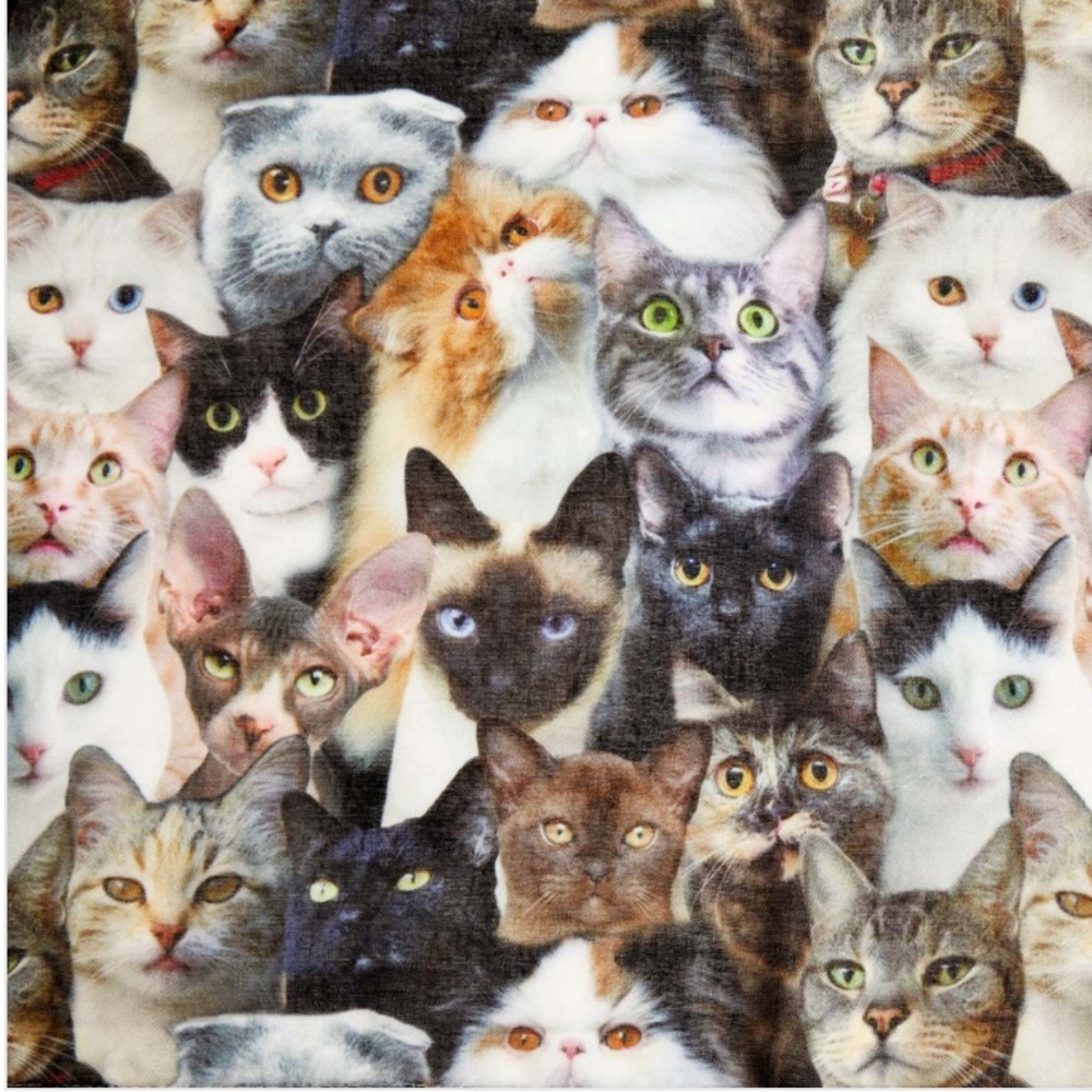 Cat Collage Scarf - Picture 2 of 5
